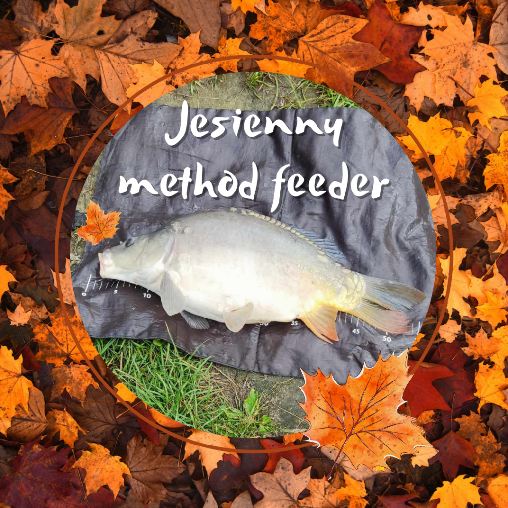 Jesienny method feeder